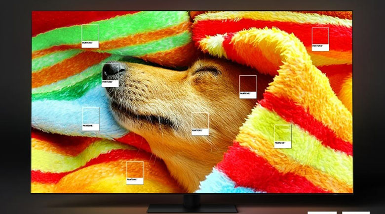 Tivi Samsung 55 inch giá rẻ - Màu sắc chuẩn PANTONE
